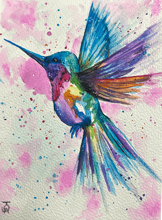 Rainbow Hummingbird. Watercolour.